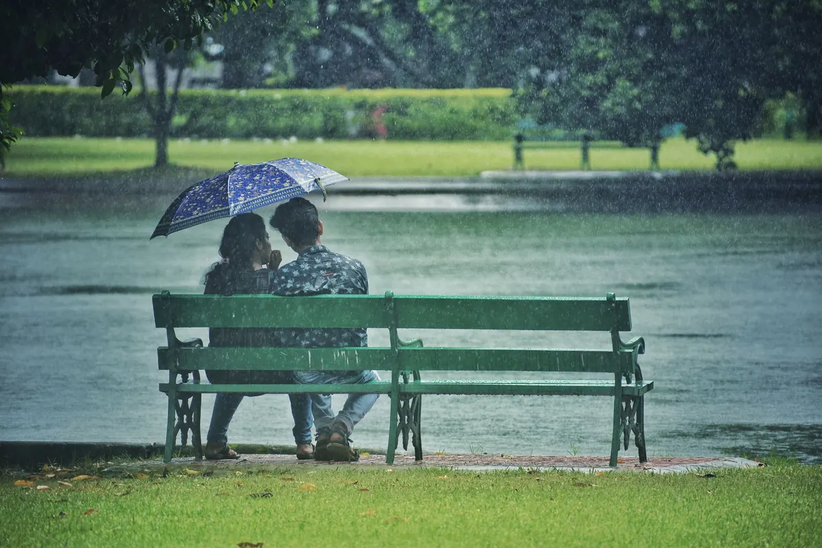 A Beginner's Guide to Weatherproofing a Wooden Garden Bench for British Rain