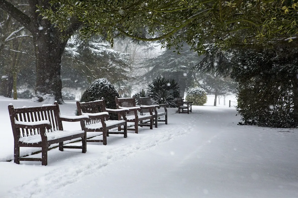 DIY Garden Bench Plans: What to Look For Before You Start Building