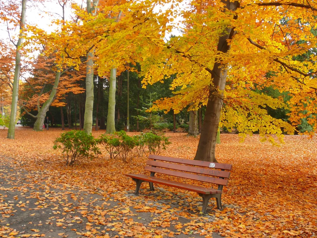Seasonal Bench Care Calendar for UK Gardens: Spring, Summer, Autumn and Winter